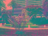 IMGP2833 edited (Medium)